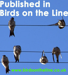 Birds on the Line