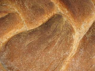 Bread